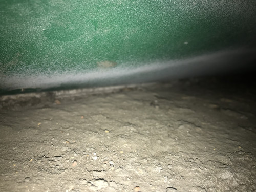 FCFB83CF 4C5A 4F06 B282 0E09020A8B6A.jpg