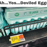 1675113491869-png.png