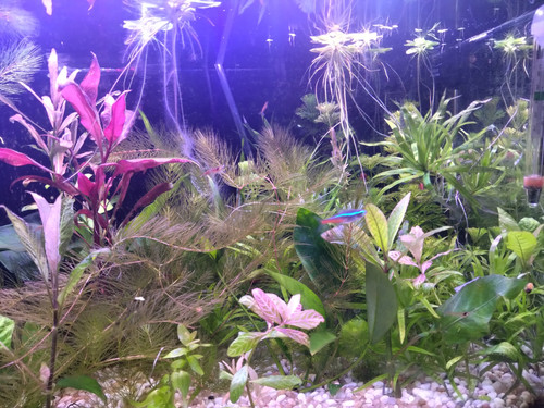 IMG 20230131 030010.jpg