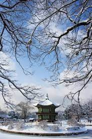 neige1.jpg
