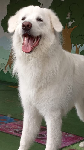 WhatsApp Image 2023 02 03 at 19.51.21.jpg