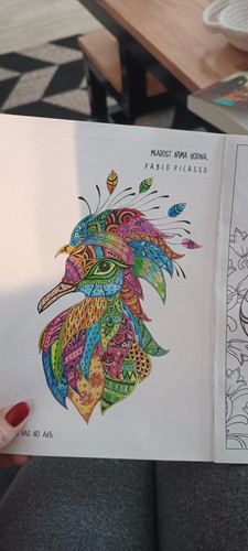 IMG 20230203 131532001.jpg