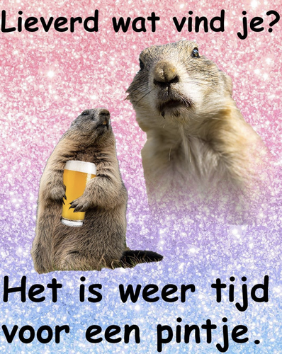 Scherm afbeelding 2023 02 03 om 11.54.06.png