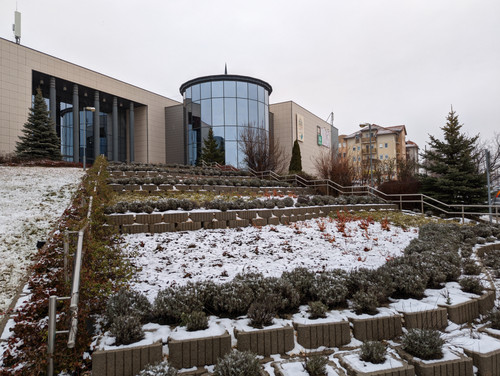 PXL 20230203 125941839.jpg