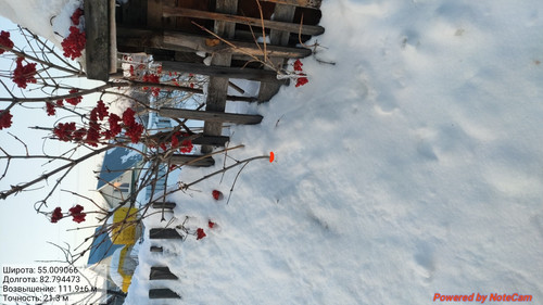 IMG 20230203 232219.jpg