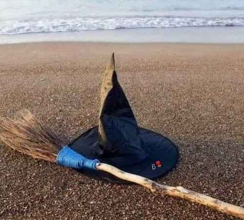 297266273 5871308472896739 4774225721921818205 n.jpg