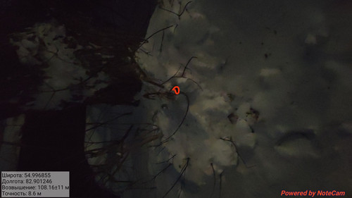 IMG 20230203 232820.jpg