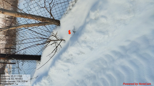 IMG 20230203 225428.jpg