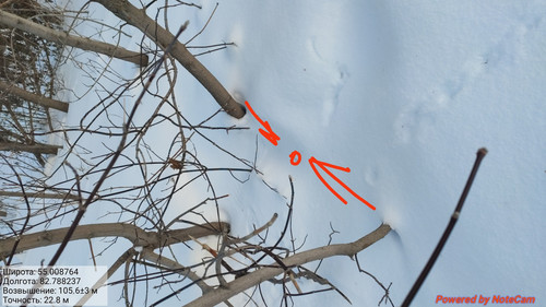 IMG 20230203 231426.jpg