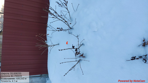 IMG 20230203 231513.jpg