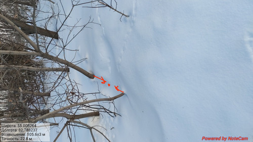 IMG 20230203 231405.jpg