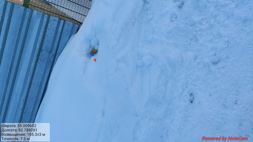 IMG 20230203 230502.jpg