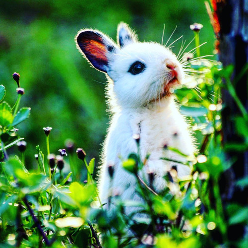 IMG 20220918 193035 193.jpg