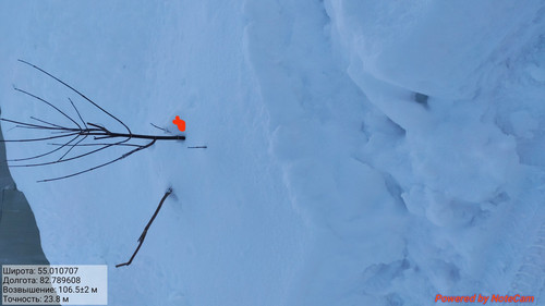 IMG 20230203 230122.jpg