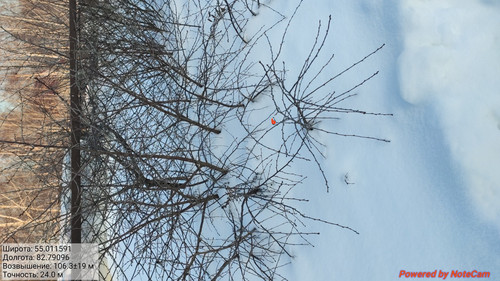 IMG 20230203 230006.jpg