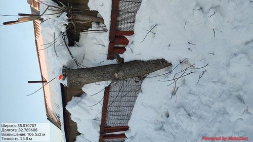 IMG 20230203 230208.jpg