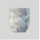 asset5.png
