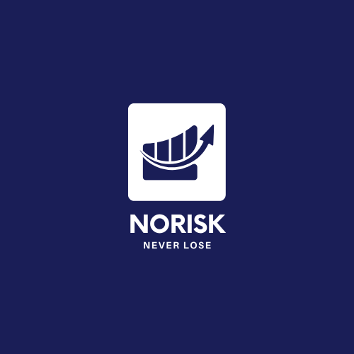 NORISK Logo PNG.png