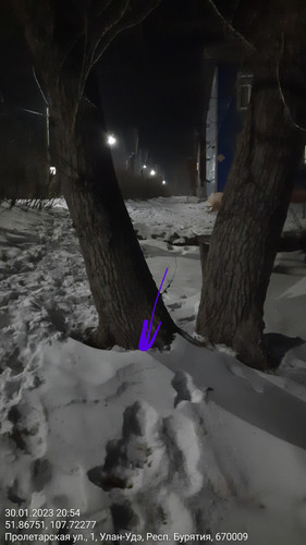 30012023 205431.jpg