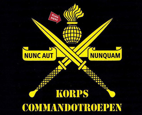 KCT logo TIM.jpg