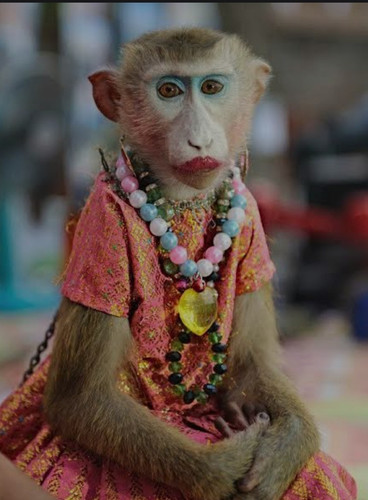 IMG 20230207 045705.jpg