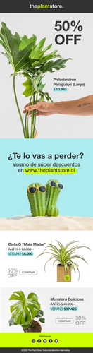 email theplantsore VERANO 2.png