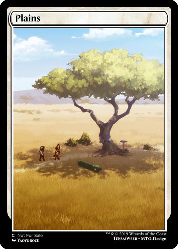 Plains 002.jpg