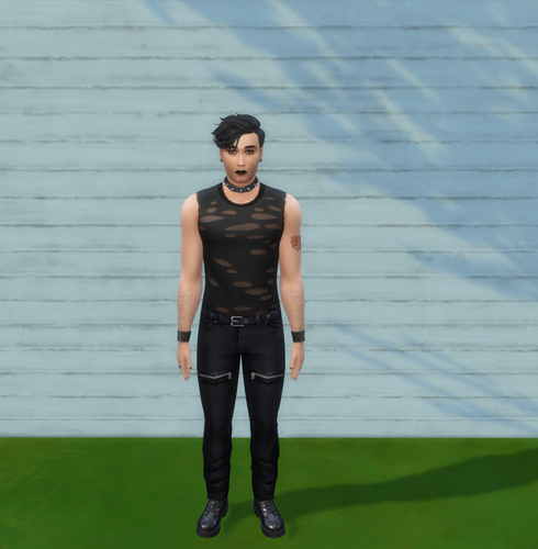 Bonus Punk Look for Shane.png