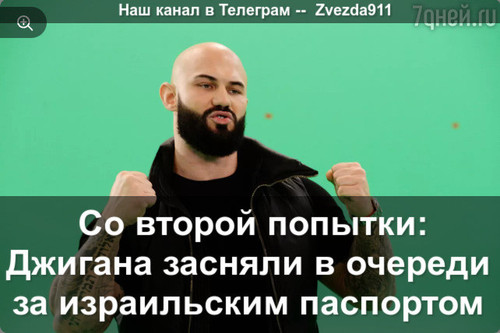 pic.jpg