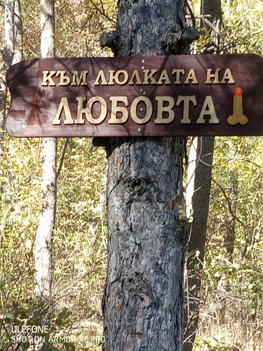 IMG 20221018 150432 541.jpg