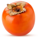 Persimmon Nightingale 1 1080x