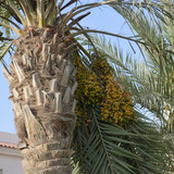 DSC 0581 7 2