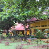 SMP 7B