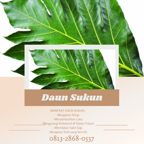 Desain 91 Daun Sukun.png