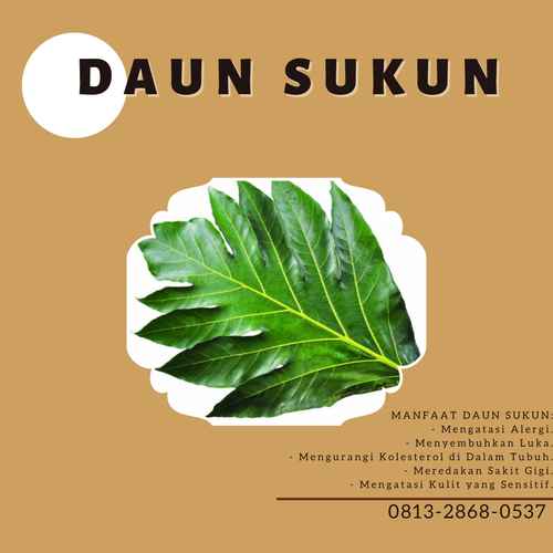 Desain 94 Daun Sukun.png