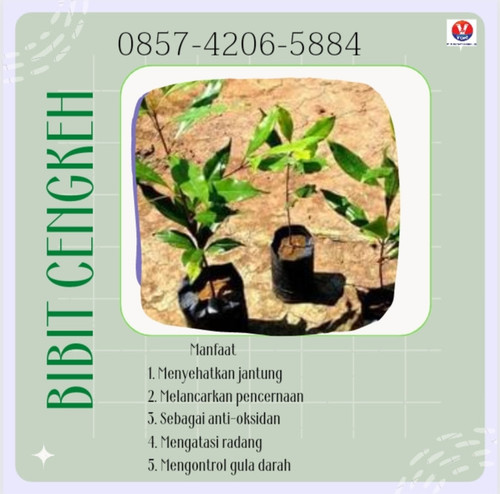 IMG 20221123 165019.jpg