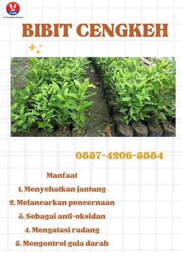 IMG 20221123 165131.jpg