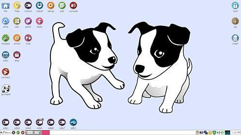 tahrpup6 desktop 491px.jpg