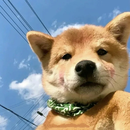 B88mYyNZwXEVlcQ kloaN0Vu.jpg