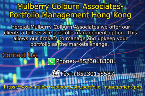 mulberry portfolio.jpg