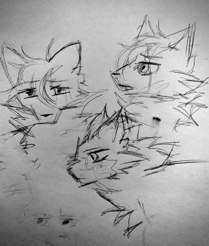 E3C02F85 8930 4F8D AD3E 976A91BF04A4.jpg