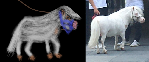 mini horse.png
