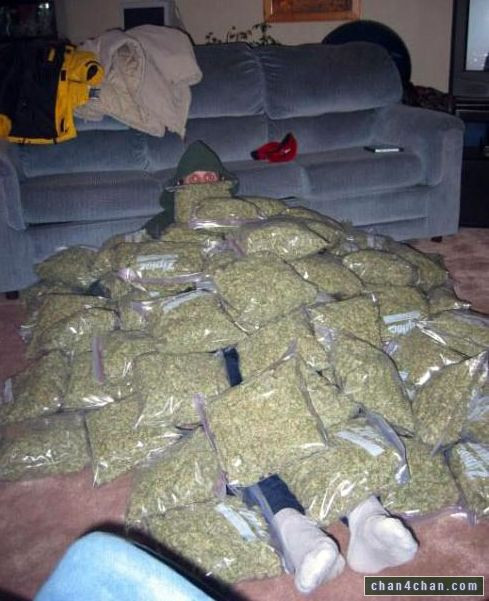 got weed yes.jpg