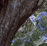 predator jungle hunter.gif