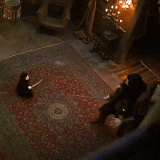 ezgif 3 713a7a3fcc.gif