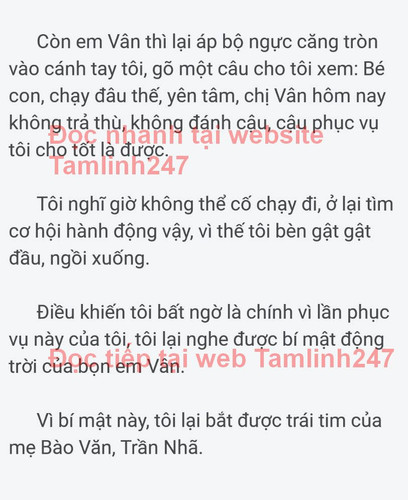 002440 tamlinh247.jpg
