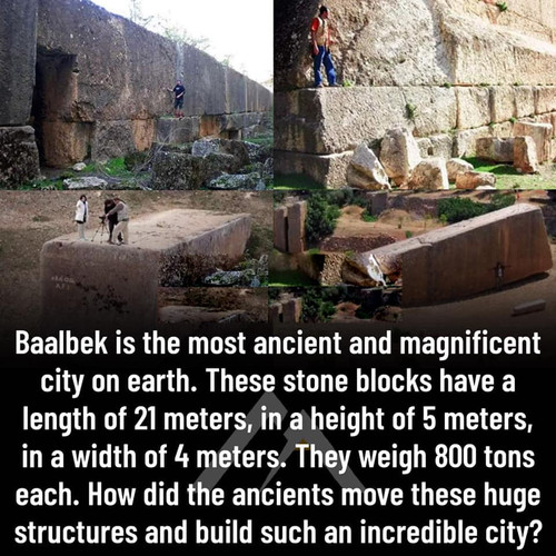 62.jpg