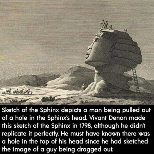 50.jpg