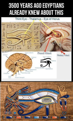 159.png