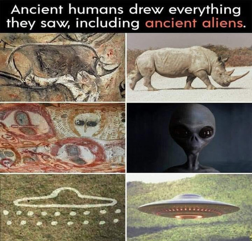 fcbbmvbcbv.jpg